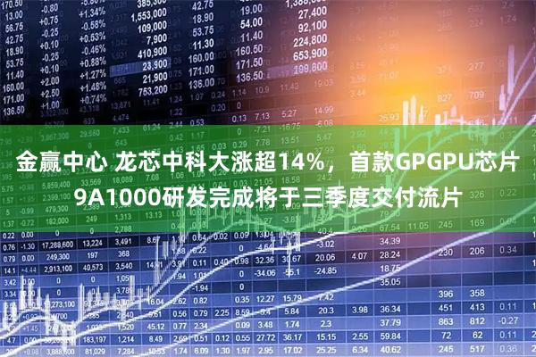 金赢中心 龙芯中科大涨超14%，首款GPGPU芯片9A1000研发完成将于三季度交付流片
