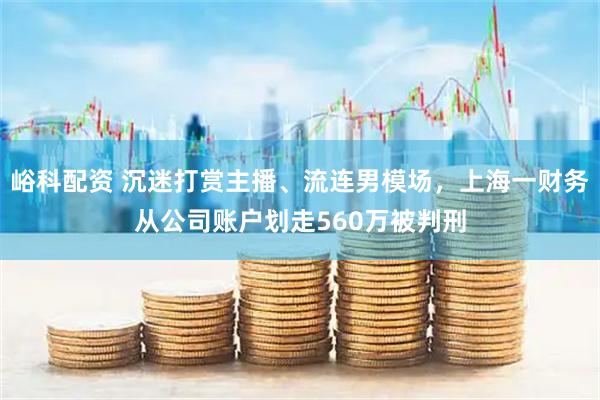 峪科配资 沉迷打赏主播、流连男模场，上海一财务从公司账户划走560万被判刑