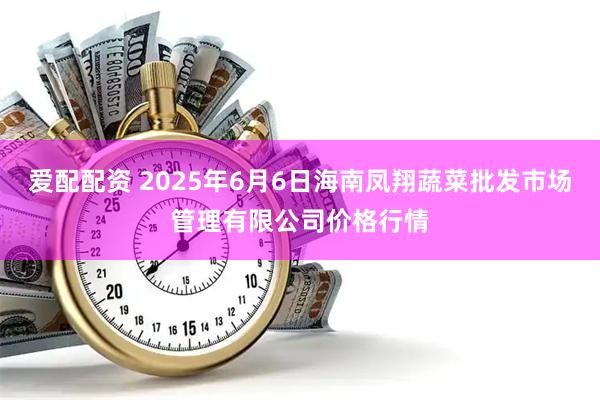爱配配资 2025年6月6日海南凤翔蔬菜批发市场管理有限公司价格行情